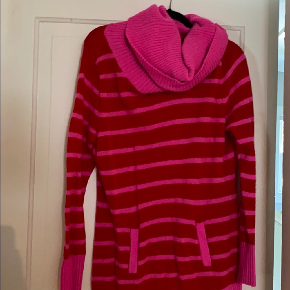 Haley and hound tunic sweater